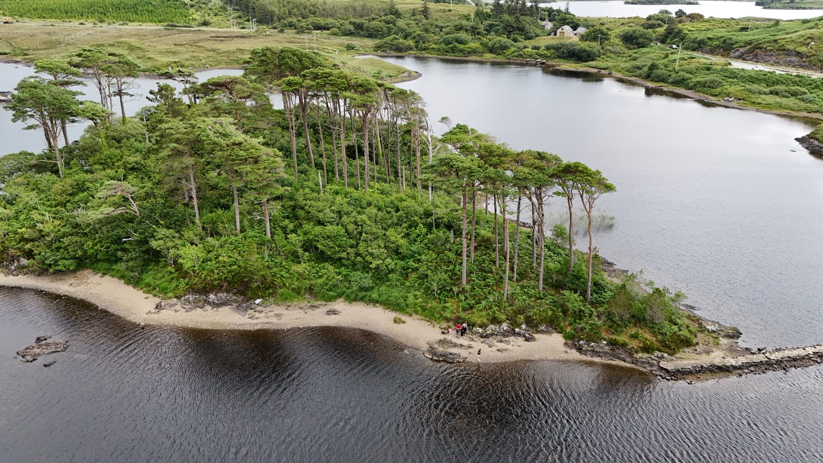 Aerial view of a wooded island on a still lake